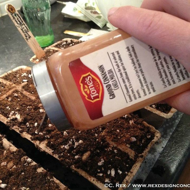 13 surprising shortcuts to starting seeds indoors, Sprinkle cinnamon on your soil mix