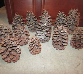 q large pinecones idea s, crafts