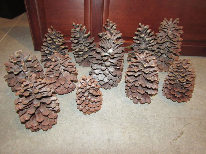 q large pinecones idea s, crafts