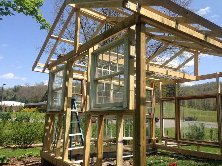 my hubby built a greenhouse