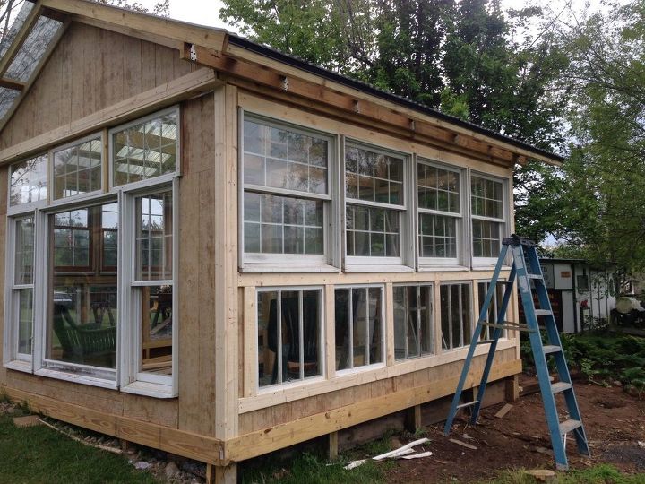 my hubby built a greenhouse