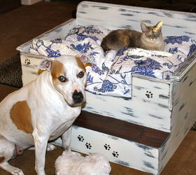 homemade dog cat beds, diy, pets animals, woodworking projects