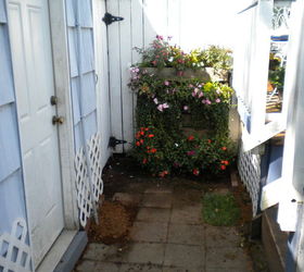my backyard garden, flowers, gardening, outdoor living, My pallet garden