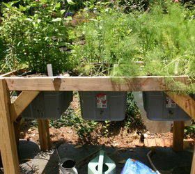 self watering planter, bedroom ideas, gardening, raised garden beds, zinnia and fennel this summer