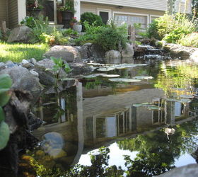 nature scapes ecosystem pond transforms yard adding curbside appeal in nh, flowers, outdoor living, ponds water features, Where there was once only lawn an ecosystem pond created a paradise