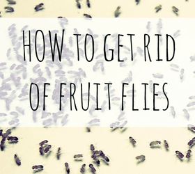 Cómo deshacerse de las moscas de la fruta con artículos domésticos