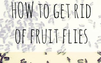 How to Get Rid of Fruit Flies With Household Items