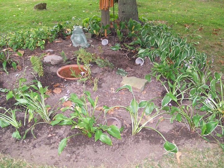 creating a toad habitat, gardening, pets animals, The completed project Next year the plants will be fuller but this helps give you an idea