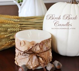 do you have a birch tree make birch bark candles, crafts, seasonal holiday decor, Make Birch Bark Candles perfect for the holidays or a hostess gift