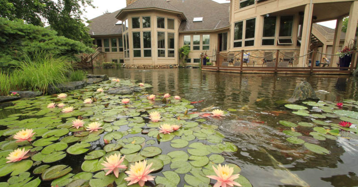 Aquaterra One Acre Pond And Waterfall Hometalk