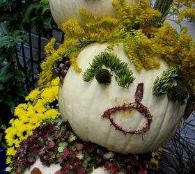 tipsy punkin heads, decks, home decor, outdoor living, seasonal holiday decor, Decorated the kitchen deck today and made tipsy punkin heads using white pumpkins and natural materials our garden Don t they have personality http pinterest com barbrosen