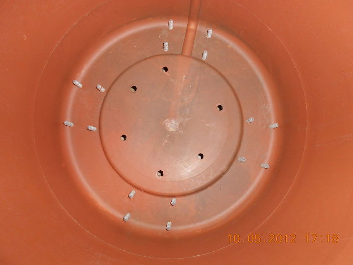 umbrella holder in a cement plant container, inside of lg old plant container w screws