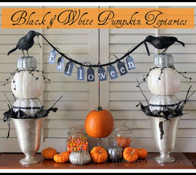 halloween decor black amp white pumpkin topiaries, halloween decorations, seasonal holiday d cor
