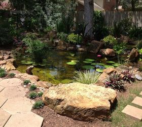 Charming backyard water garden in Richmond, TX features a constructed ...