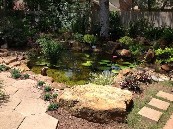 charming backyard water garden in richmond tx features a constructed wetlands filter, gardening, landscape, ponds water features, The Allen s Garden They are now officially living the lifestyle This water garden was their anniversary present to each other