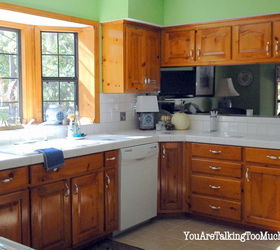 do i paint my kitchen cabinets i need your opinion, kitchen cabinets, kitchen design, painting, To paint or not