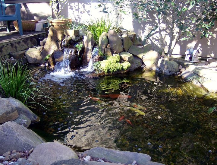 pond makeover for lisa s small courtyard garden in houston, outdoor living, ponds water features, Here s a better look at the waterfall
