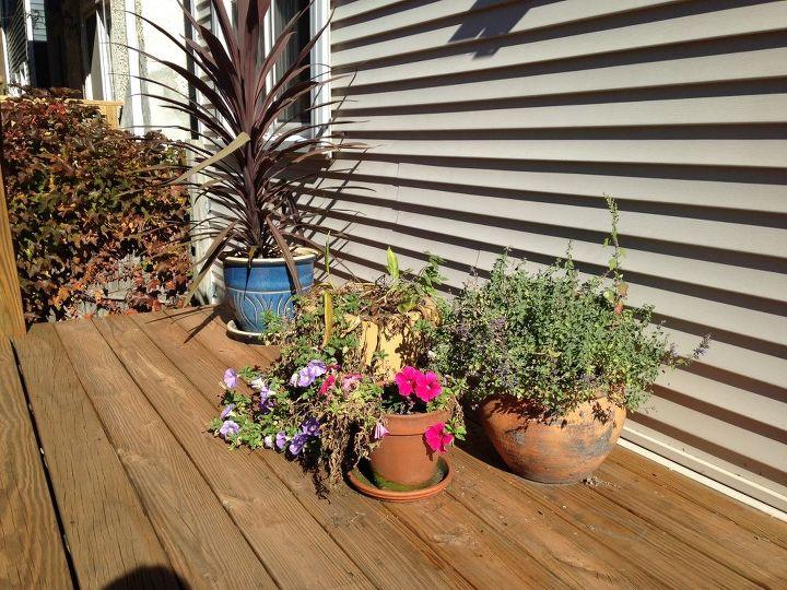 can you leave flower pots out over the winter