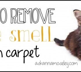 how to remove urine smell from carpet, cleaning tips, flooring