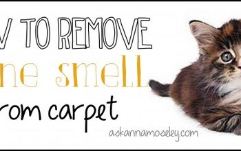 How to Remove Urine Smell From Carpet