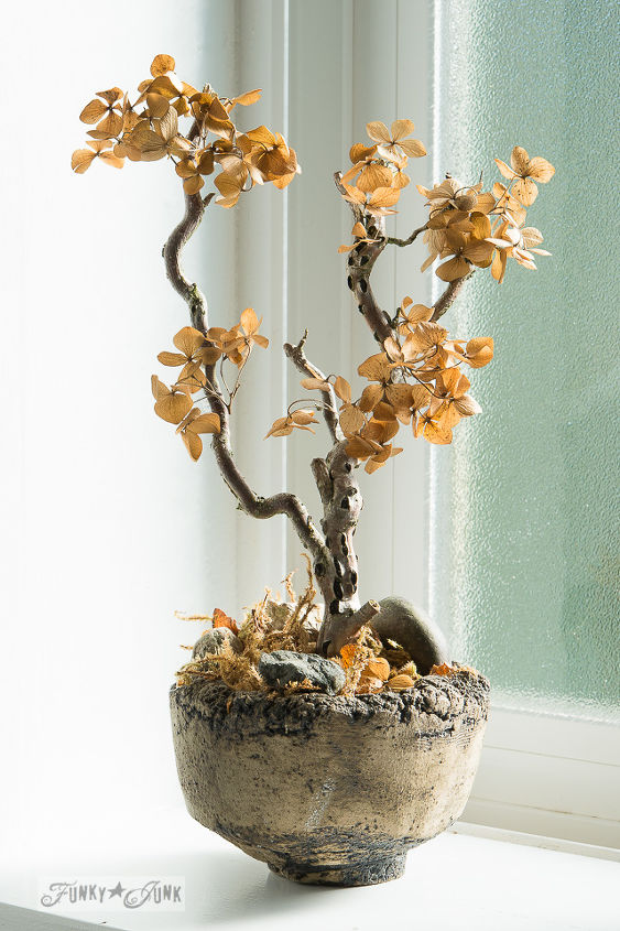 cmo hacer un bonsi de hortensias en tono dorado para el otoo es una cosa