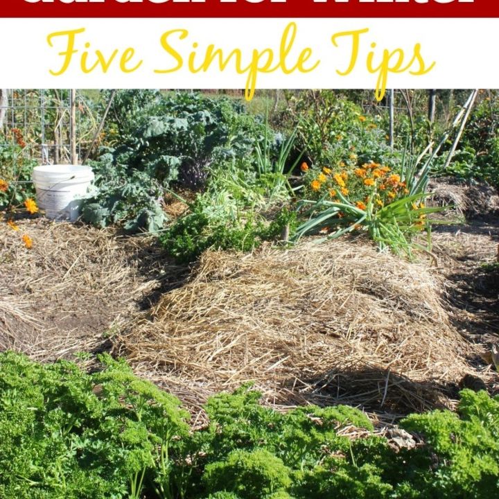 tips to prepare your garden for winter, composting, gardening, go green