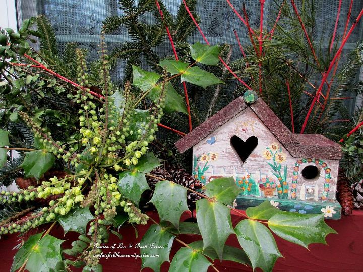 heart amp home valentine s day, gardening, Mahonia Japonica provides the bloom in this window box