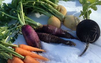 Vegetables That Are Sweeter Grown in Winter