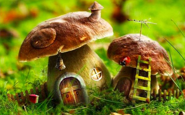 11 projetos criativos com cogumelos para o seu jardim, casas de jardim de fadas