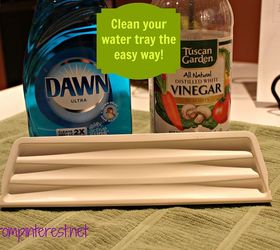 cleaning your refrigerator water dispenser tray, cleaning tips, Icky water stains on your refrigerator water tray Well tell them goodbye because this simple tip will solve that in minutes