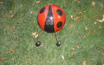 bowling balls to ladybugs