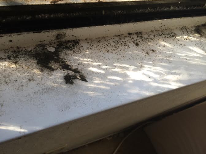 how to remove mold from a window sill, cleaning tips, how to