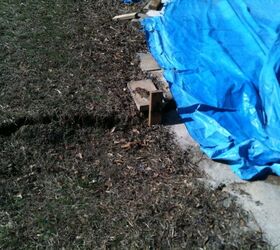 q sinkhole in backyard, home maintenance repairs, this is the near the start of the depression that I call a sinkhole