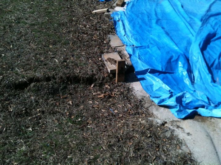 q sinkhole in backyard, home maintenance repairs, this is the near the start of the depression that I call a sinkhole
