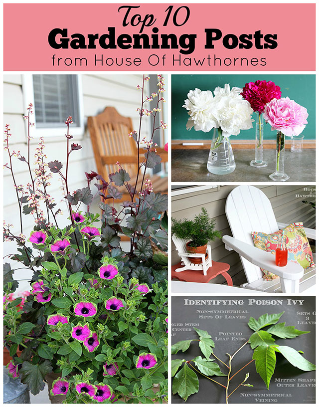 home porche and garden ideas, flowers, gardening, home decor, porches, repurposing upcycling