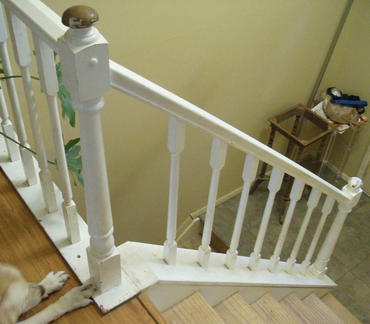 prepping and painting wood stair banisters, painting, stairs, These are the stairs and my dog s feet on the left