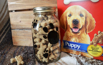 Tarro de golosinas para perros DIY (una imitación de una tienda de contenedores)