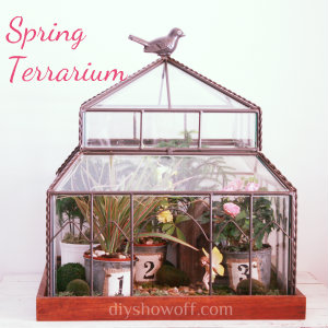 hoping a mini greenhouse inspires a green thumb, gardening, terrarium, miniature greenhouse