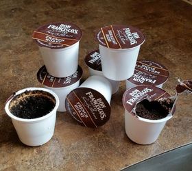 don t toss leftover coffee grounds look what she does, cleaning tips, repurposing upcycling, Coffee Grinds Have Some Great Uses