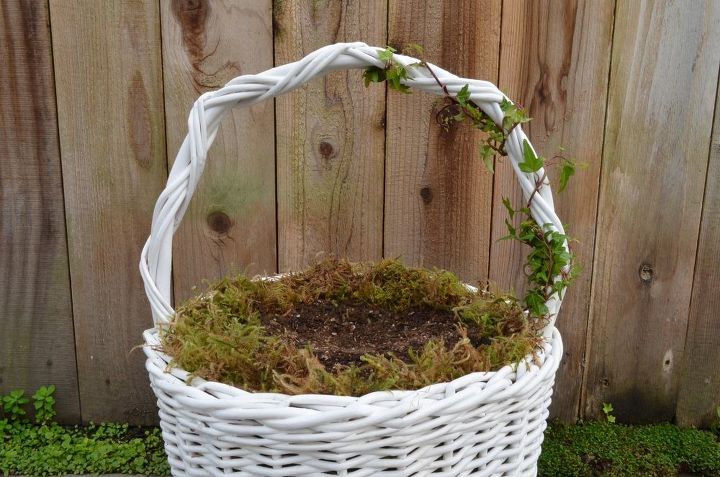 fairy garden easter baskets, crafts, easter decorations, gardening, seasonal holiday decor, Line the basket with a 1 inch layer of sphagnum moss Fill the basket with a high quality potting soil Then plant a small leafed ivy wrapping the ivy around the handle and tying it down with clear fishing line