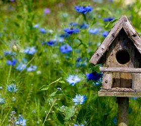placing birdhouses in the garden, flowers, gardening, Bright colored flowers attract some species of birds and having a house mixed among the taller colorful flower bed will ensure a beautiful view for your new feathered friends
