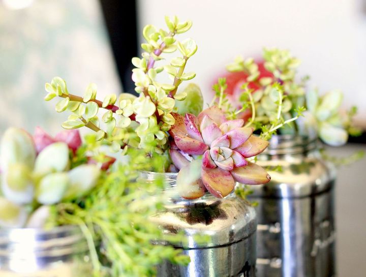 spaghetti jars for the win, repurposing upcycling, Bright succulents stand out against the mirrored surfaces of the jars