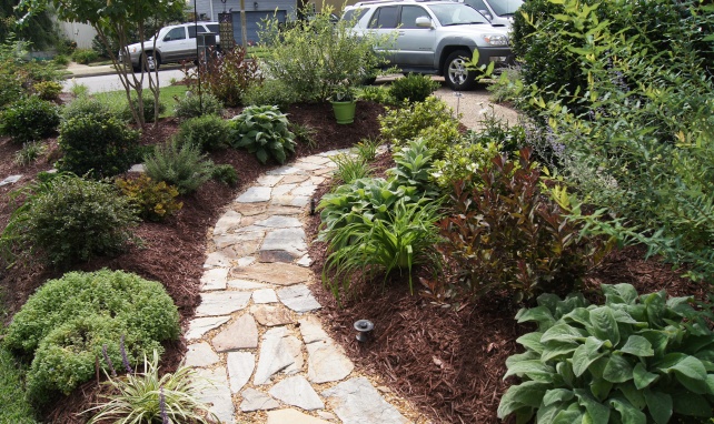 Front Yard Makeover | Hometalk