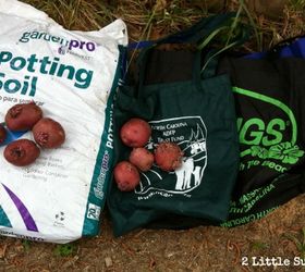 use reusable grocery bags to grow potatoes, gardening, Materials needed soil potatoes and reusable bags