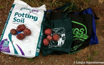  Use sacolas reutilizáveis para cultivar batatas