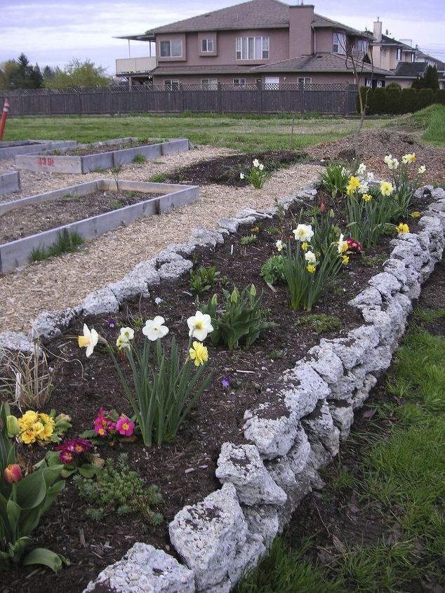 reciclagem de passarelas de concreto em um belo muro de pedra do jardim, As primeiras flores da primavera se abriram Os vizinhos adoram ver este jardim crescer