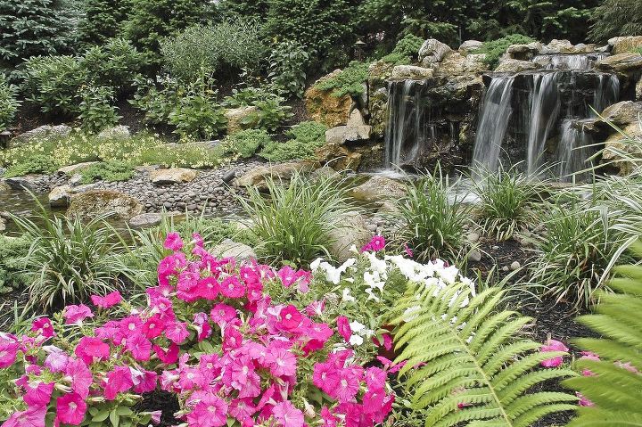 fun beautiful and safe for kids think pondless waterfall and stream, flowers, gardening, landscape, outdoor living, perennial, ponds water features, 4 waterfall spilling into the landing area at the top of the stream