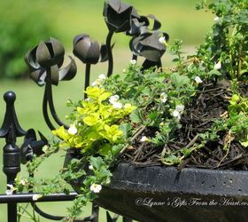 repoursing a bird bath lynnesgiftsfromtheheart com, flowers, gardening, repurposing upcycling