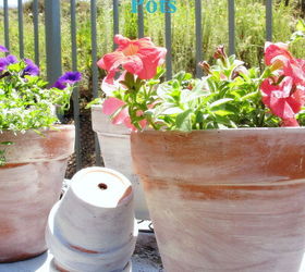 how to easily age terra cotta pots, crafts, gardening, Easily age your terra cotta pots resulting in a beautiful aged patina