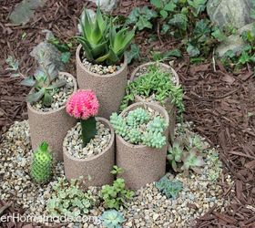 how to build and plant a succulent garden, diy, flowers, gardening, how to, succulents, Succulent Gardens are easy to create and super easy to care for